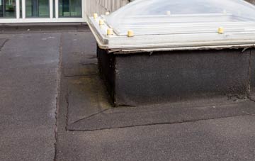 disadvantages of Flecknoe flat roofs