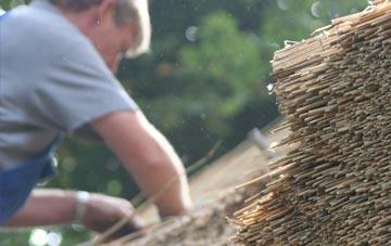 professional Flecknoe thatchers