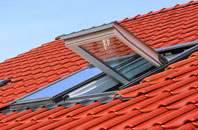Flecknoe roof window