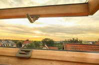 rated Flecknoe roof window companies